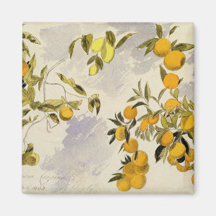 Orange Trees, 1863 (w/c, pen and ink over graphite Magnet