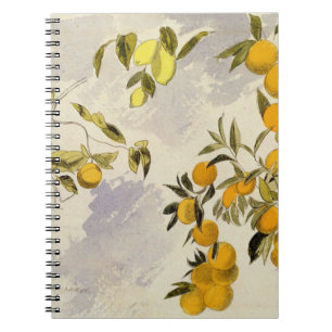 Orange Trees, 1863 (w/c, pen and ink over graphite Notebook