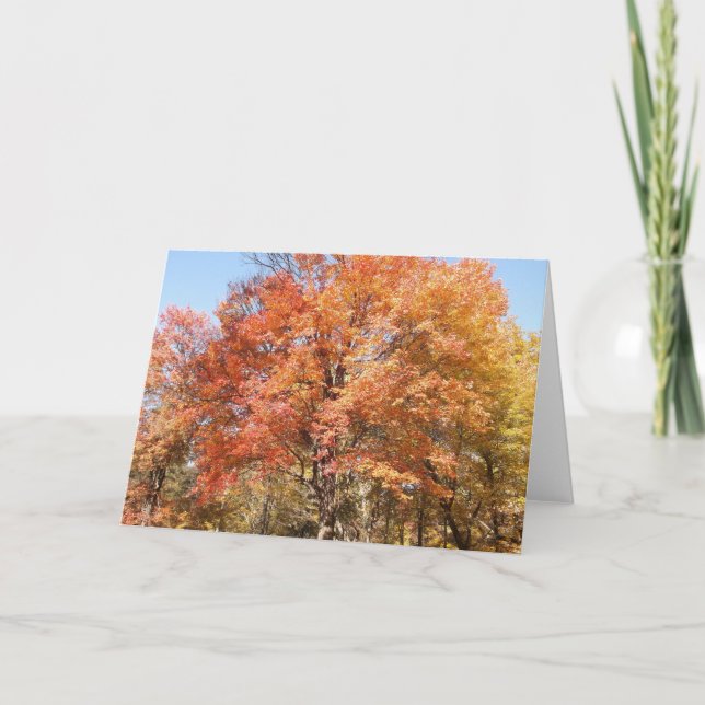 Orange Trees Holiday Card (Front)