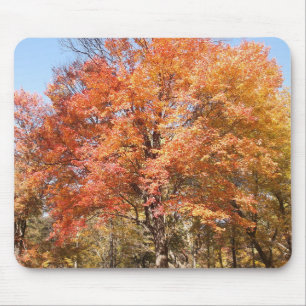 Orange Trees Mouse Mat
