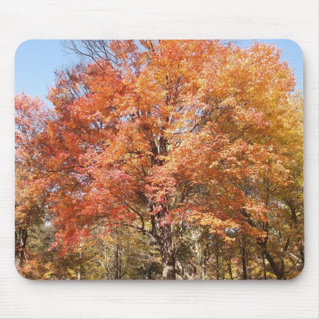 Orange Trees Mouse Mat (Front)