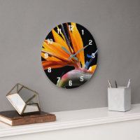 Orange Tropical Bird of Paradise Plant Floral