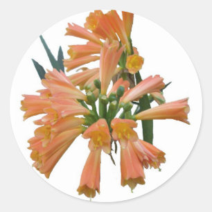 Orange Tropical Flower Stickers