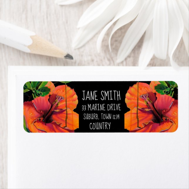 Orange tropical hibiscu watercolor flower art (Insitu)