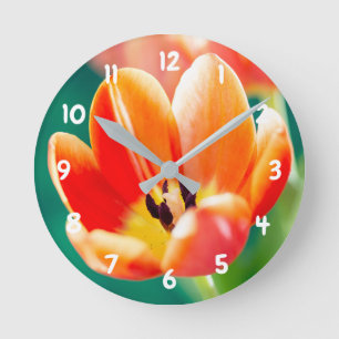 Orange Tulip Acrylic wall clock
