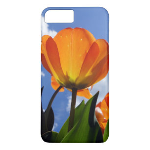 Orange Tulip, Blue Sky iPhone 8 Plus/7 Plus Case