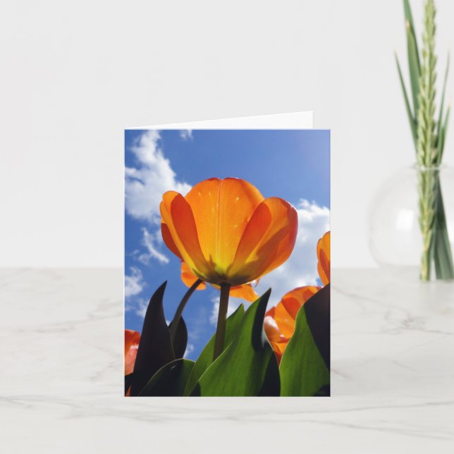Orange Tulip, Blue Sky Note Card (Front)