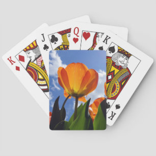 Orange Tulip, Blue Sky Playing Cards