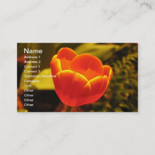 Orange Tulip Business Card