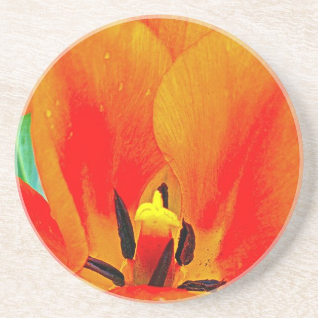Orange Tulip Coaster (Front)