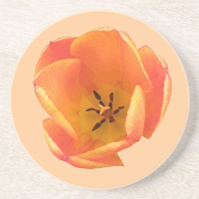 Orange Tulip Coasters (Front)