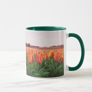 Orange Tulip Flower Field & Windmill Holland Mug