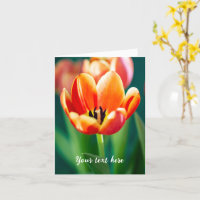Orange Tulip Greeting Card