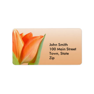Orange Tulip Labels