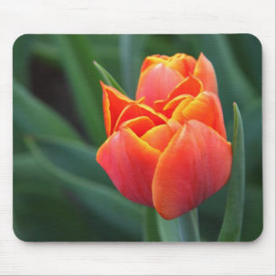 Orange Tulip Mouse Mat