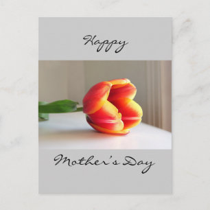 Orange Tulip Postcard