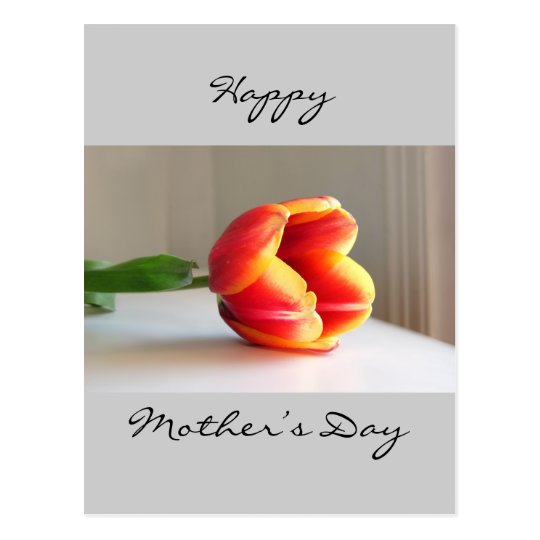 Orange Tulip Postcard