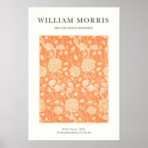 Orange Tulip Poster