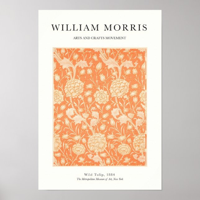 Orange Tulip Poster (Front)