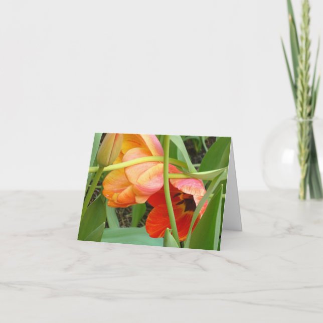 Orange Tulip Sculpture Note Cards (Front)
