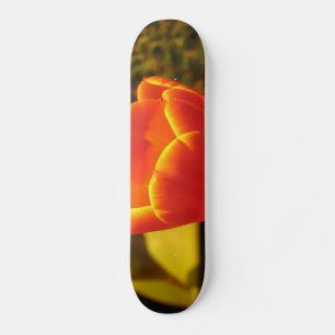 Orange Tulip Skateboard