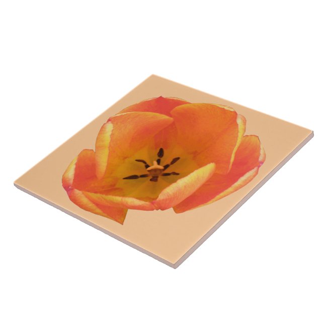 Orange Tulip Tile (Side)