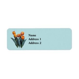 Orange Tulips
