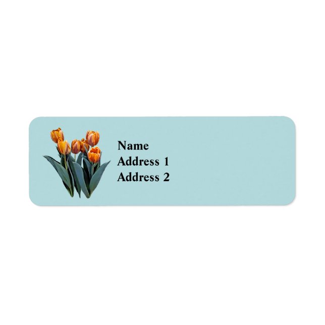 Orange Tulips (Front)
