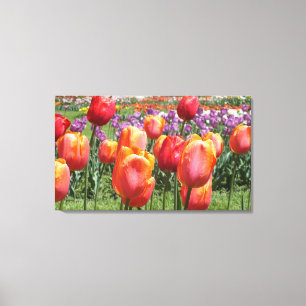 Orange Tulips At Elizabeth Park Wrapped Canvas
