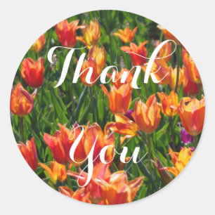 Orange Tulips Classic Round Sticker