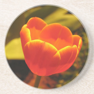 Orange Tulips Coaster