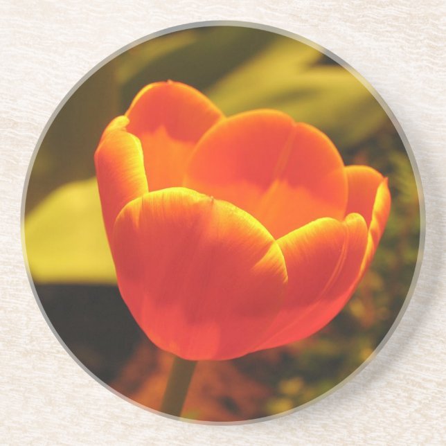 Orange Tulips Coaster (Front)