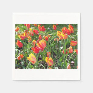 Orange Tulips Cocktail Napkins