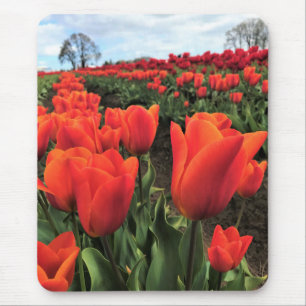 Orange Tulips in a Field, Oregon Mouse Mat