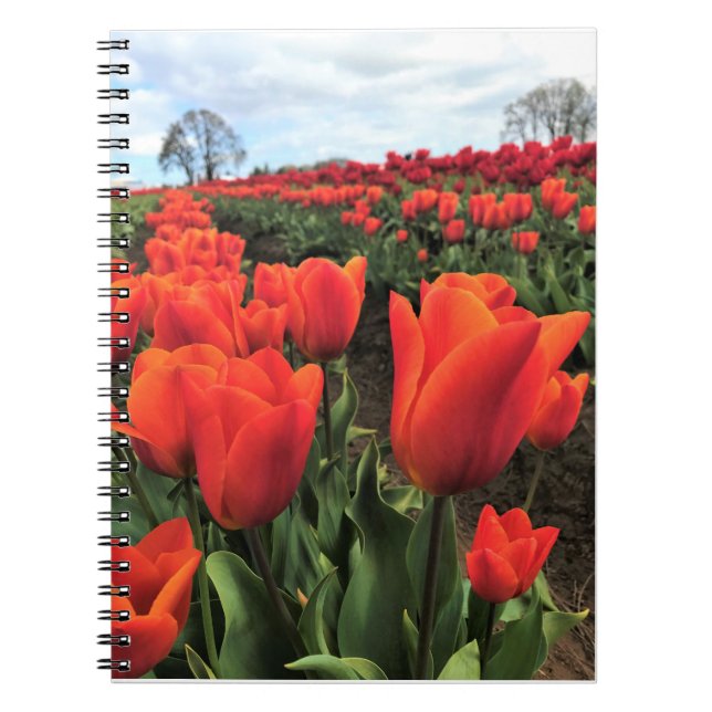Orange Tulips in a Field, Oregon Notebook (Front)