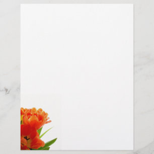 Orange Tulips Letterhead