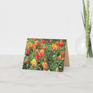 Orange Tulips Pensando en ti Card