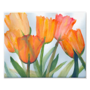 Orange Tulips Photo Print