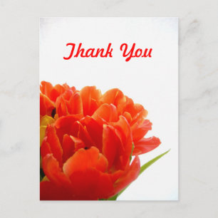 Orange Tulips Thank You Postcards