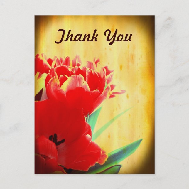 Orange Tulips Thank You Postcards (Front)