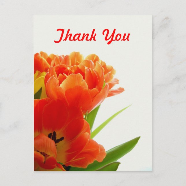 Orange Tulips Thank You Postcards (Front)