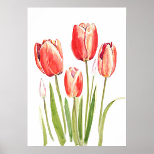 orange tulips watercolor poster