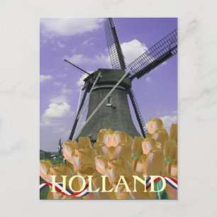 Orange Tulips Windmill Art Holland Postcard