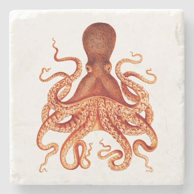 Orange Vintage Octopus Illustration Stone Coaster (Front)