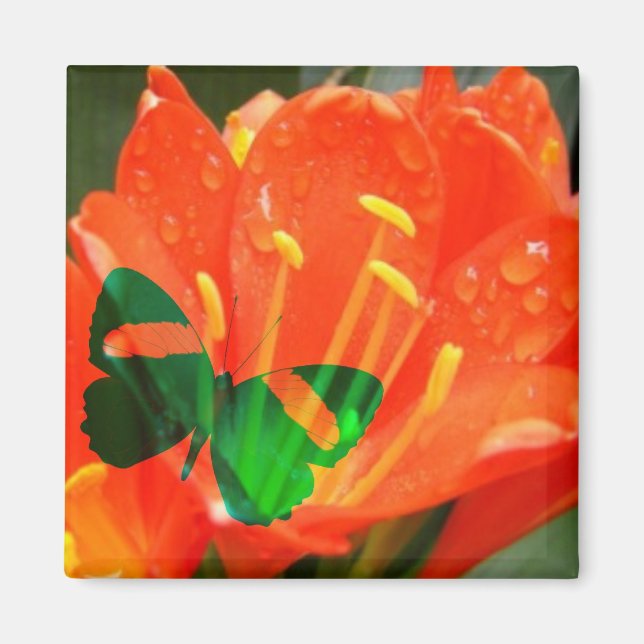 orange water butterfly magnet (Front)