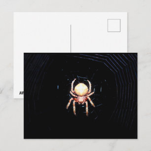 Orange Wheelweaving Spider Postcard