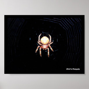Orange Wheelweaving Spider Poster