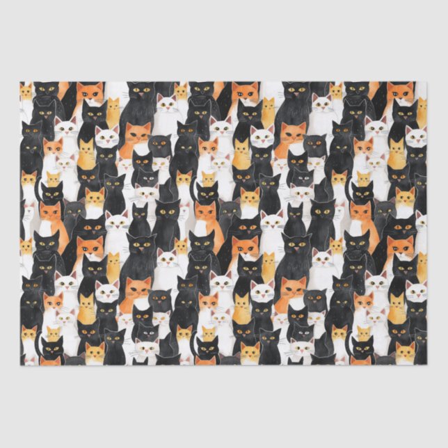 Orange White Black Cats Birthday Tissue Paper (Front)