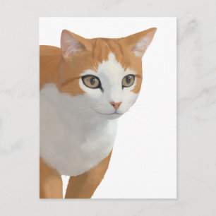Orange & White Cat Portrait Postcard