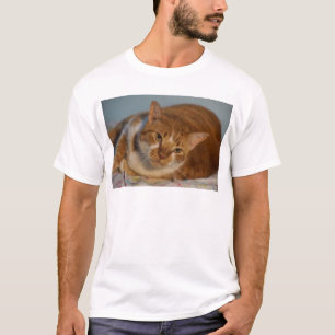 Orange & White Cat T-Shirt